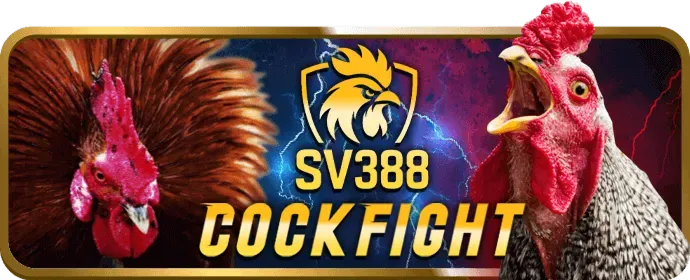 Kỹ thuật chơi slot game